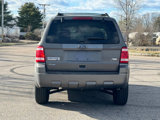 Used 2011 Ford Escape XLT w/ 202A Rapid Spec Order Code image 4