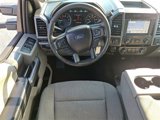 Used 2019 Ford F150 XLT w/ Equipment Group 302A Luxury image 2