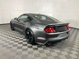 Used 2015 Ford Mustang Premium w/ Ecoboost Performance Package image 4
