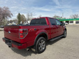 Used 2014 Ford F150 FX4 image 6