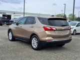 Used 2019 Chevrolet Equinox LT image 4