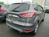 Used 2014 Ford Escape Titanium image 6