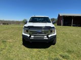 Used 2020 Ford F150 XLT w/ Equipment Group 302A Luxury image 5
