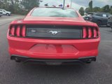 Certified 2019 Ford Mustang Coupe image 5