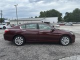 Used 2013 Honda Accord EX-L image 4