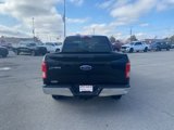 Used 2016 Ford F150 XLT image 5