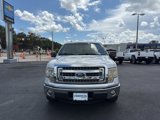 Used 2014 Ford F150 XLT w/ XLT Chrome Package image 2