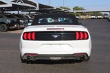Used 2023 Ford Mustang Premium image 4