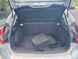 Used 2013 Ford Focus SE w/ SE Winter Pkg image 5