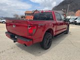 New 2025 Ford F150 XLT w/ Equipment Group 302A MID image 6
