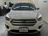 Used 2019 Ford Escape Titanium image 2