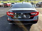 Used 2019 Honda Accord EX-L image 4