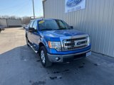 Used 2014 Ford F150 XLT w/ Equipment Group 302A Luxury image 4