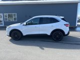 Used 2020 Ford Escape SE image 2