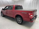 Certified 2019 Ford F150 XLT w/ Equipment Group 302A Luxury image 5