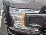 Used 2019 Ford F150 XLT w/ Equipment Group 302A Luxury image 3