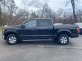 Used 2015 Ford F150 XLT w/ Equipment Group 301A Mid image 5