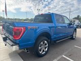 Certified 2021 Ford F150 XLT w/ Equipment Group 302A High image 5