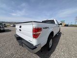 Used 2014 Ford F150 XLT image 6