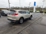 Certified 2019 Honda CR-V EX image 3