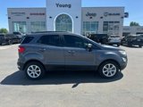 Used 2019 Ford EcoSport SE w/ SE Convenience Package image 2