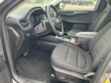 Used 2023 Ford Escape Active w/ Tech Pack #1 image 2