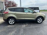 Used 2014 Ford Escape SE image 2