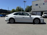 Certified 2024 Toyota Camry LE image 6
