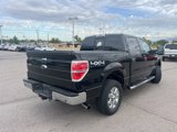Used 2014 Ford F150 XLT w/ Equipment Group 302A Luxury image 5