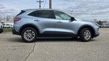 Used 2022 Ford Escape SE image 2