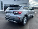 Used 2022 Ford Escape SE image 4
