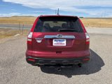 Used 2008 Honda CR-V EX-L image 4