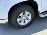Used 2024 Chevrolet Silverado 1500 W/T w/ WT Fleet Convenience Package image 4