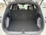 New 2025 Ford Escape ST-Line w/ Tech Pack #1 image 5