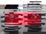 New 2025 GMC Terrain Elevation image 6
