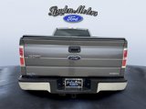 Used 2013 Ford F150 XL image 5