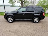Used 2011 Ford Escape XLT w/ 203A Rapid Spec Order Code image 2