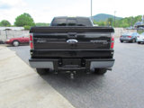 Used 2010 Ford F150 Raptor image 6