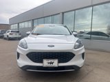 Used 2020 Ford Escape SE image 2