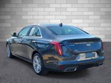 Used 2021 Cadillac CT4 Luxury w/ Sun And Sound Package image 3