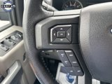 Used 2016 Ford F150 XLT w/ Equipment Group 302A Luxury image 6