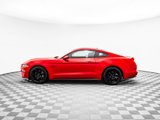 Used 2019 Ford Mustang GT Premium w/ Equipment Group 401A image 4