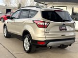 Used 2017 Ford Escape SE w/ Equipment Group 201A image 5