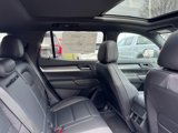 New 2025 GMC Terrain Elevation w/ Elevation Premium Package image 5