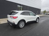 Used 2022 Ford Escape Titanium w/ Titanium Elite Package image 3