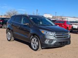 Used 2019 Ford Escape Titanium image 3