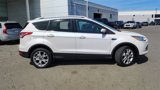 Used 2016 Ford Escape Titanium image 2