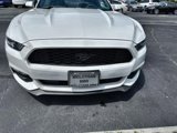 Used 2017 Ford Mustang Coupe image 4