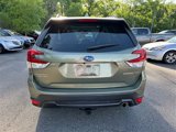 Used 2019 Subaru Forester Limited image 4