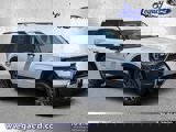 View Video